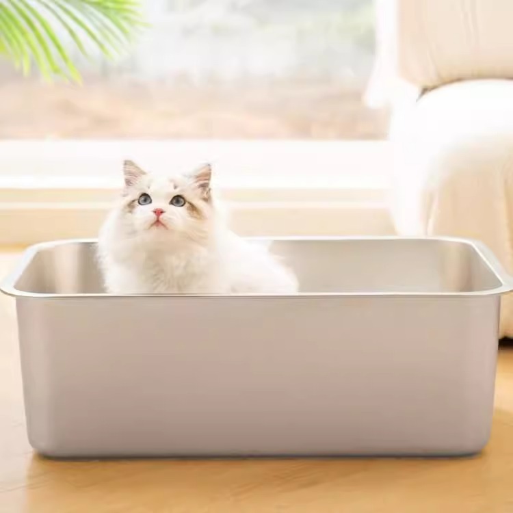 https://fulmo-img-server.com/catoily/7992ec59-e2b2-49dd-80d8-eb3cfedb1b97.jpg