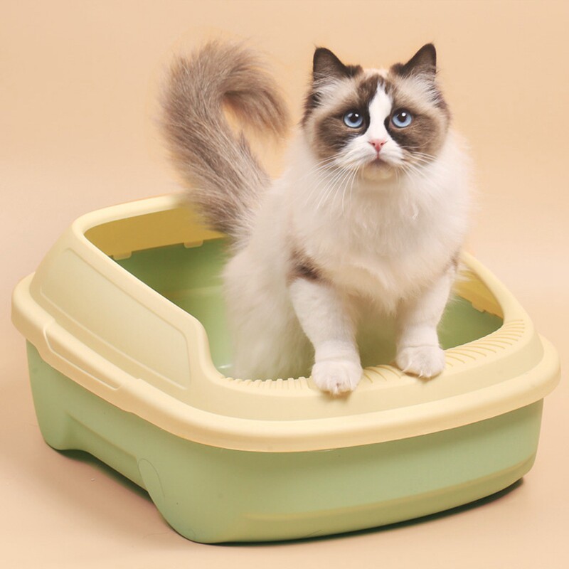 猫トイレ 子猫専用分離式二層構造猫トイレ