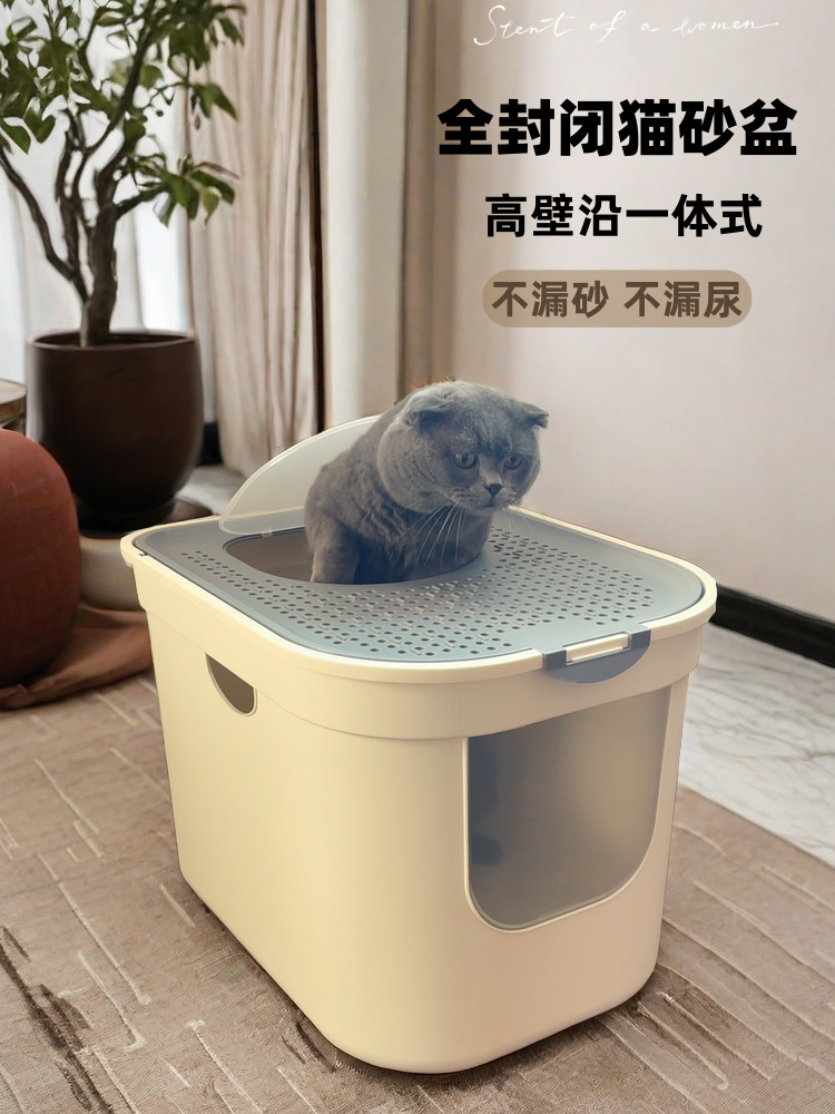 https://fulmo-img-server.com/catoily/9596cffc-67ec-4f40-a328-d7fdbe9e2c83.jpg
