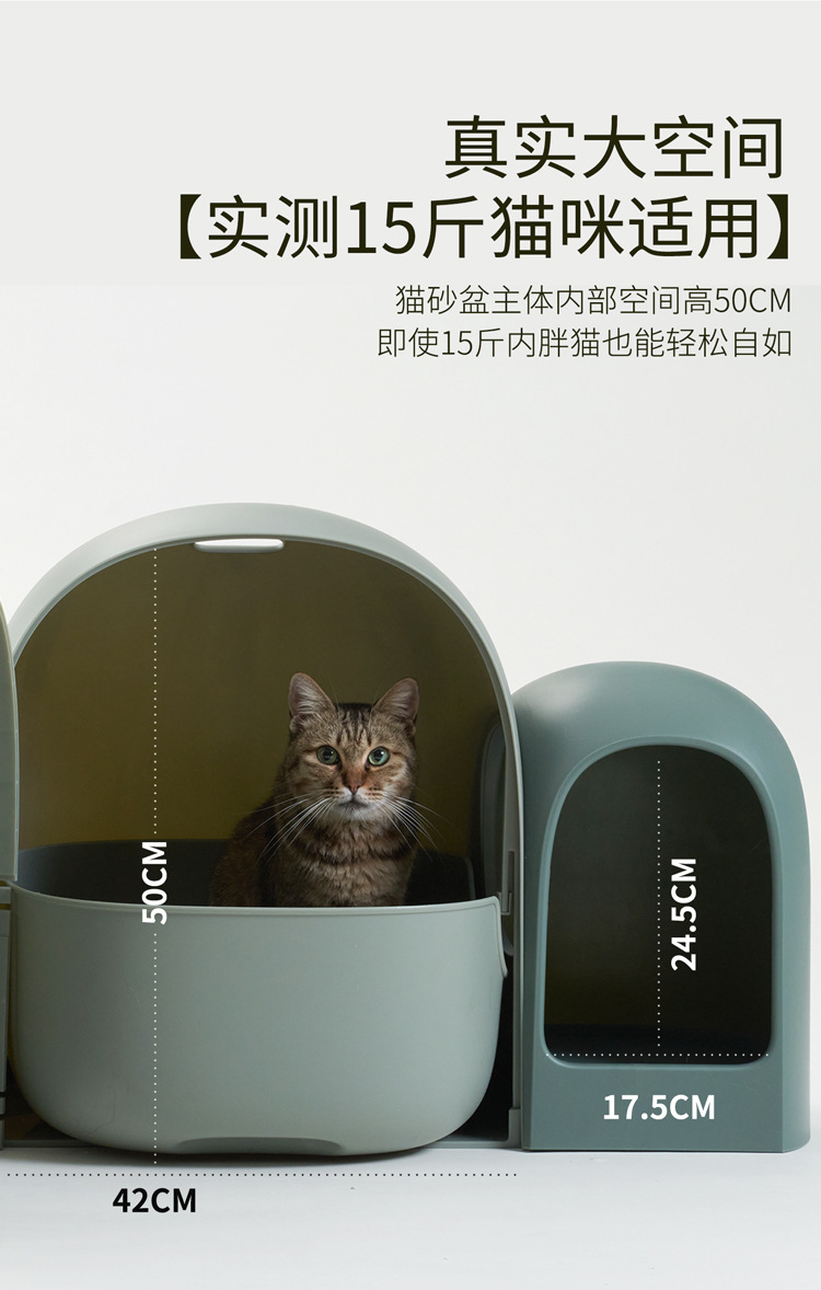https://fulmo-img-server.com/catoily/b1c13253-9fa3-4bc1-a44b-b8e2d9af12a7.jpg
