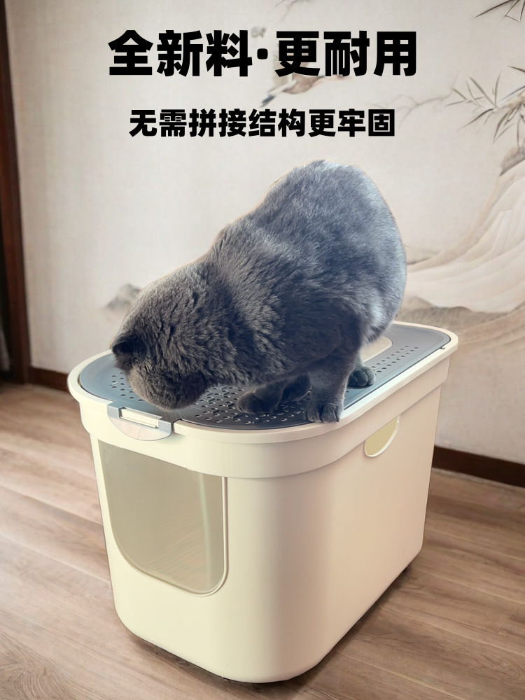https://fulmo-img-server.com/catoily/d3b9b56d-d656-491f-bf4d-3408c2b27491.jpg