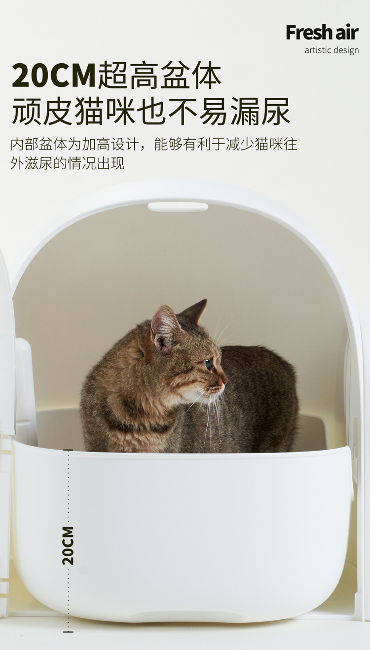 https://fulmo-img-server.com/catoily/ed50f2bf-49f0-4364-8cc5-3b796334504d.jpg