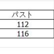 チェック 服 女性用青チェック柄長袖ブラウス トップス