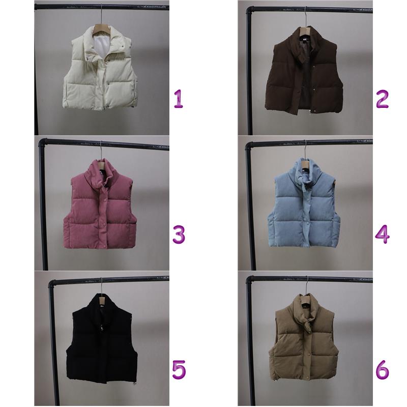 韓国風厚手レディースベスト６色展開