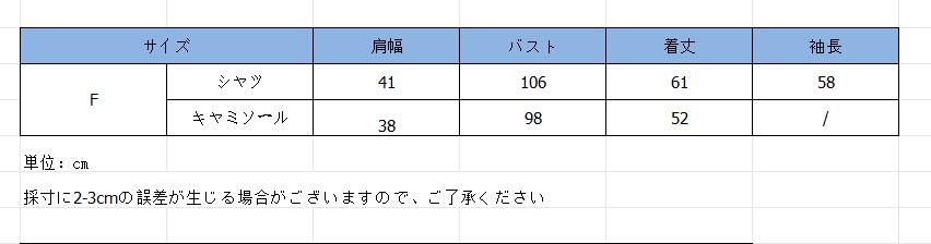 レディースベスト 花刺繍ニットベストセット 白シャツ重ね着風 韓国風