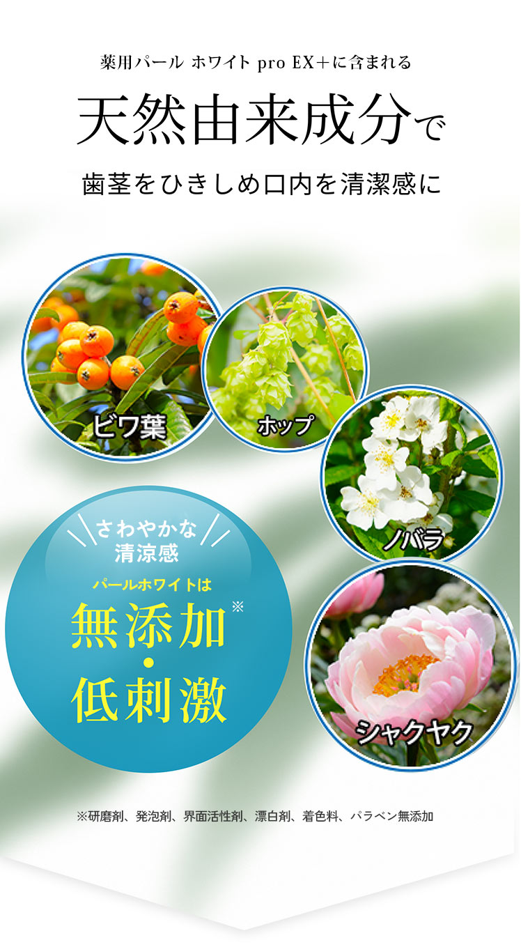 https://fulmo-img-server.com/cocogift/eb4e5cee-725f-4013-b606-4c0eb9781be2.jpg