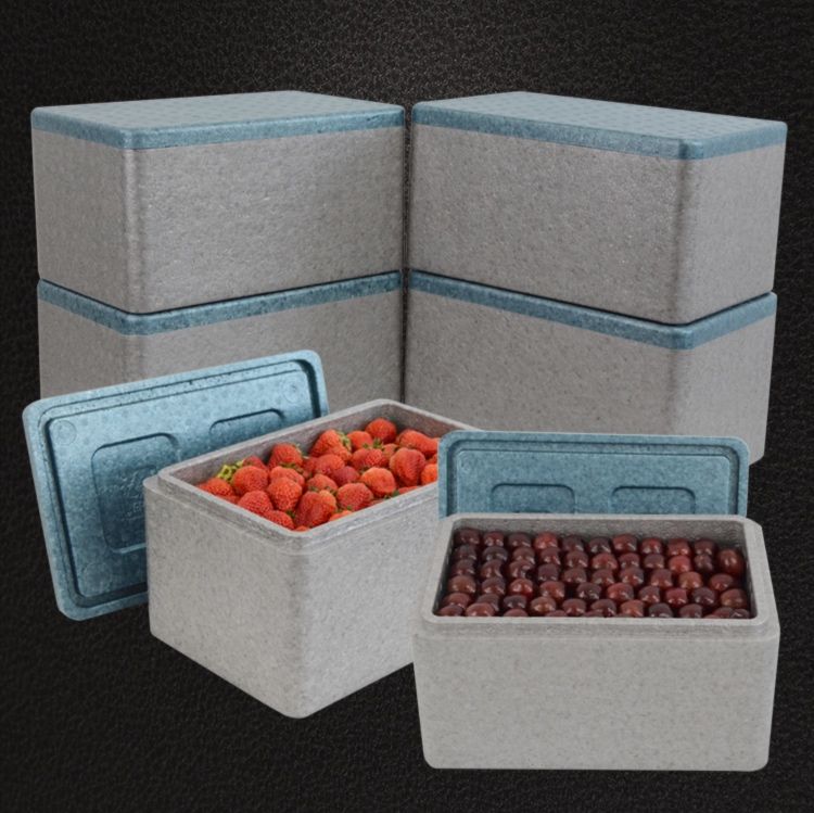 https://fulmo-img-server.com/coolerbox-lab/1757979828053_9h8evfca_q4kyfxga.jpeg