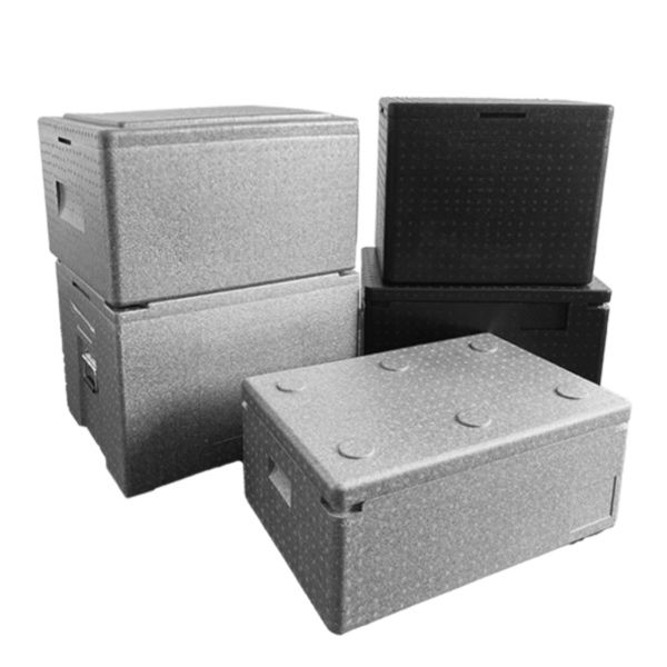 https://fulmo-img-server.com/coolerbox-lab/1757980167871_is7oui4c_mhuvwxfe.jpeg