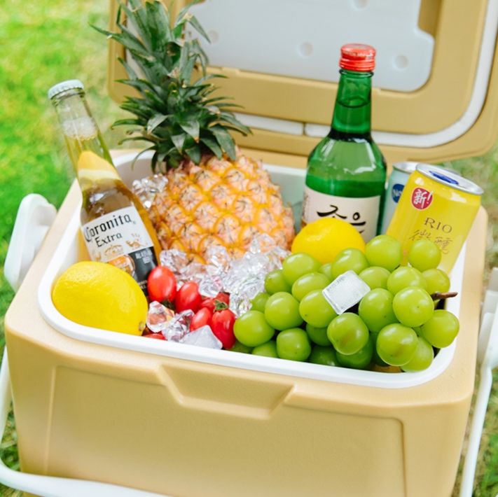 https://fulmo-img-server.com/coolerbox-lab/1758118698536_98h8rp1s_hionrceu.jpeg