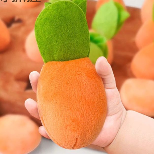 知育玩具 にんじん収穫遊び畑セット