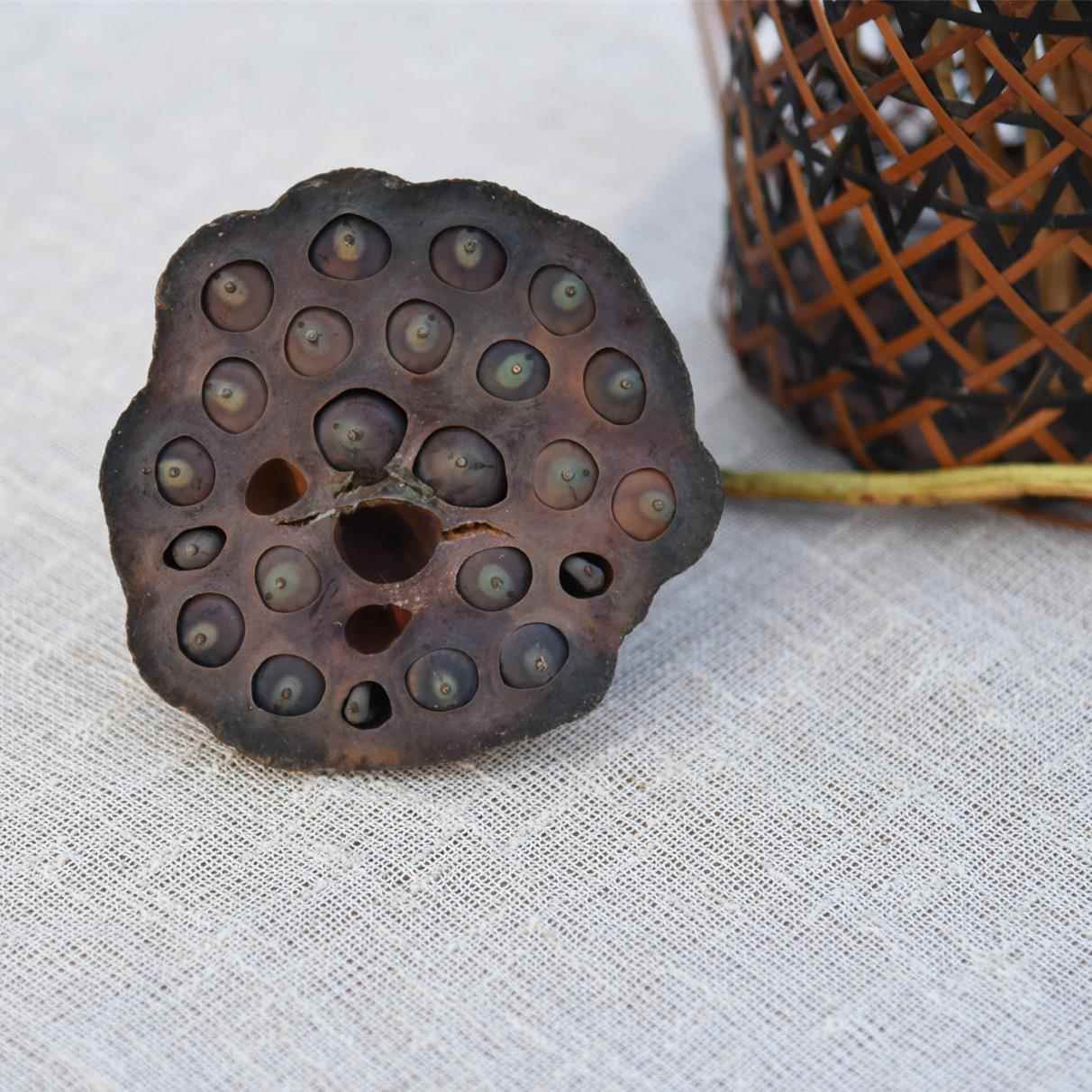テーブルクロス 和の心を表現する天然素材テーブルクロス
