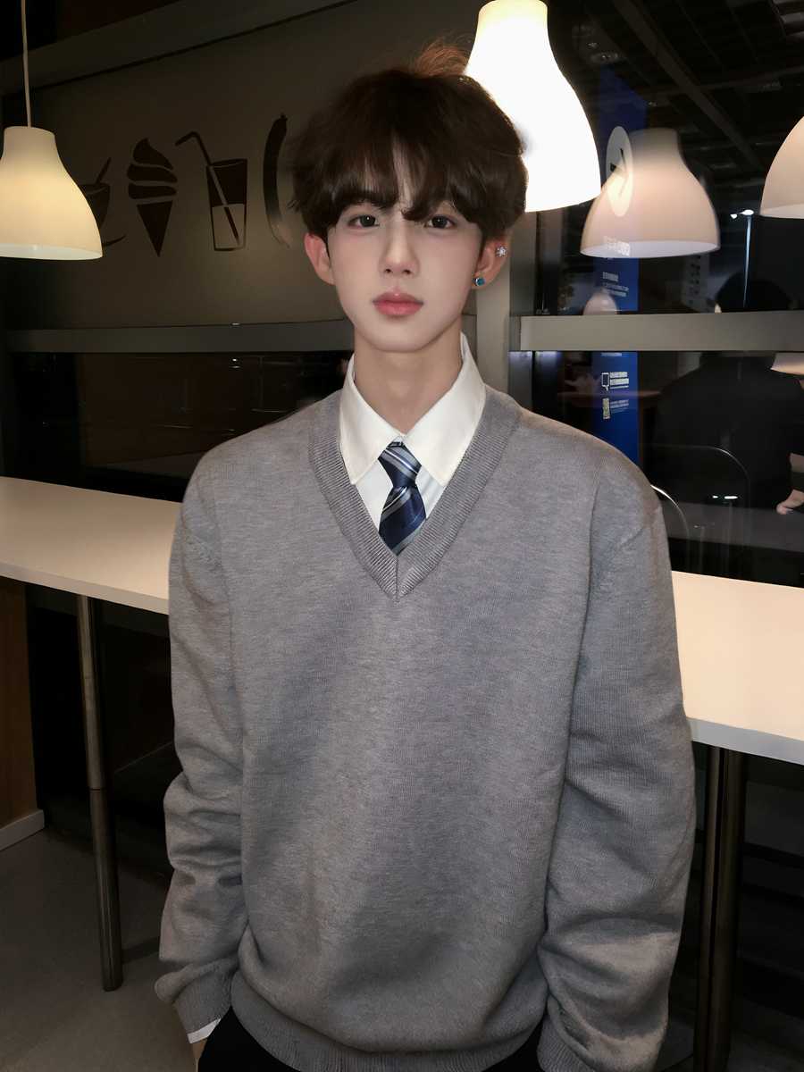 カットソー 学生風Vネックニットセーター