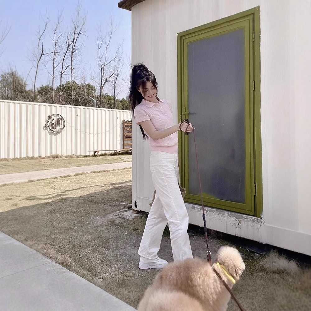 カットソー 襟付き縄編みニットカットソー