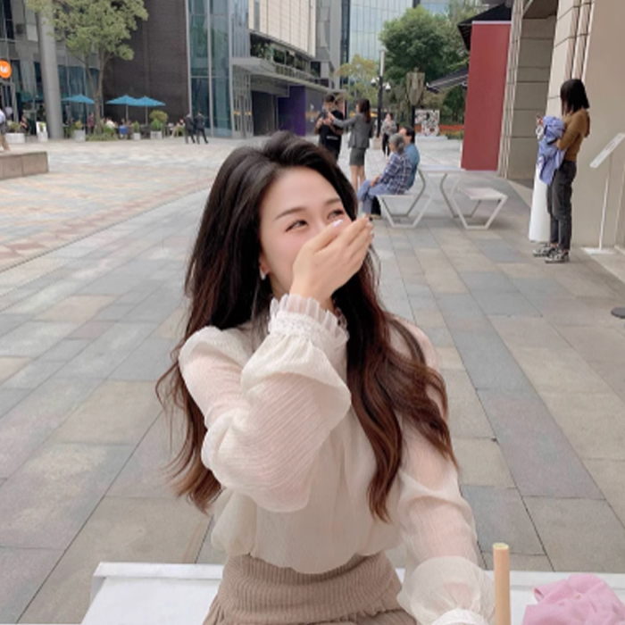 カットソー 透け感ハイネック長袖シアーブラウス フリル襟