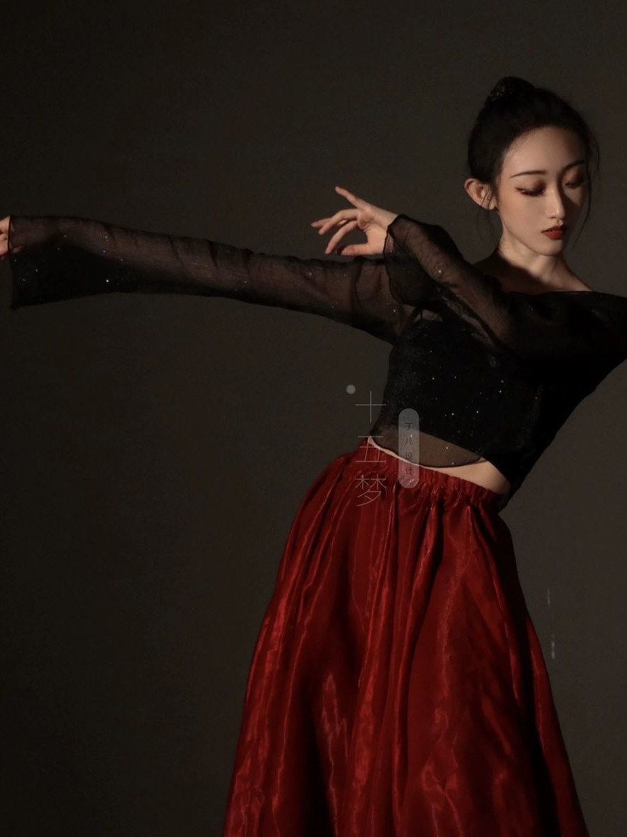 ダンス衣装 ダンス衣装 情熱の舞華スカートセット