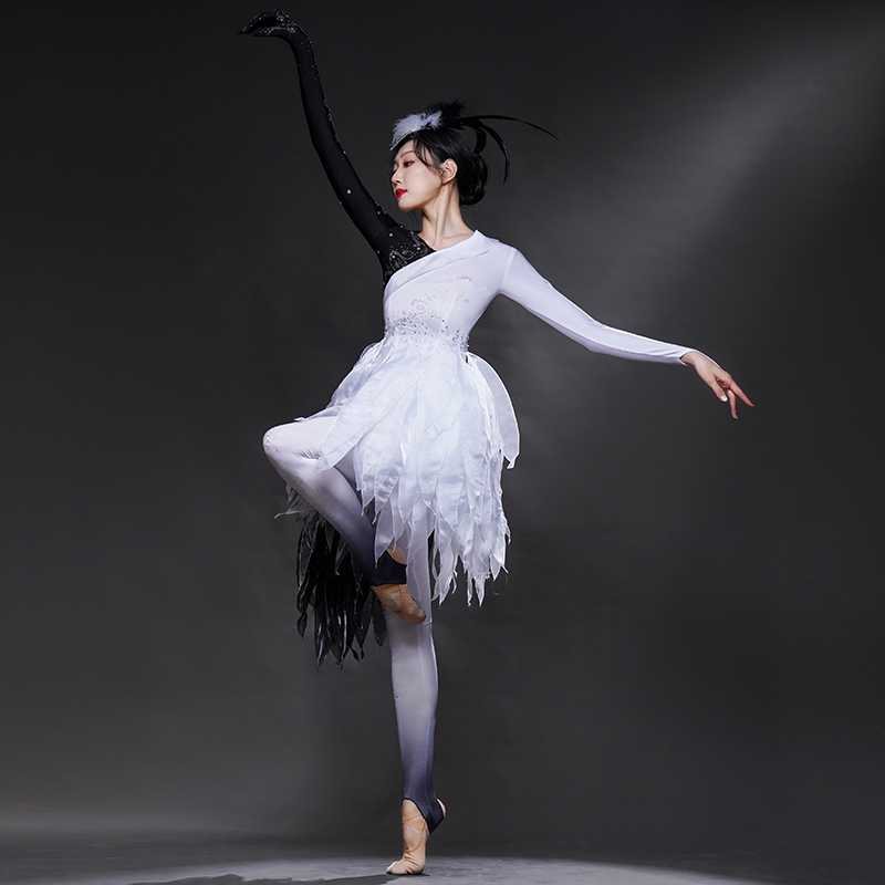 https://fulmo-img-server.com/danceuri/1756480981469_y00ko4ec_nwtfmwa6.jpeg