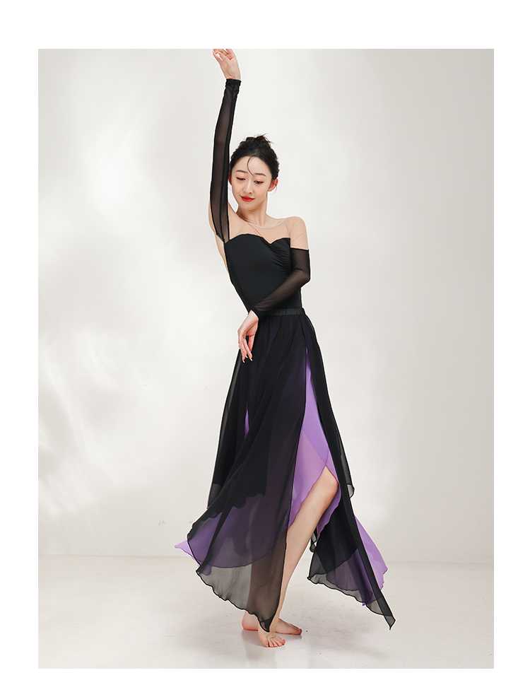 社交 ダンス ドレス 社交ダンス 優美な二層重ね シアーレイヤードドレス