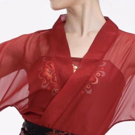 社交 ダンス  華麗刺繍入りシフォン長袖モダンドレス