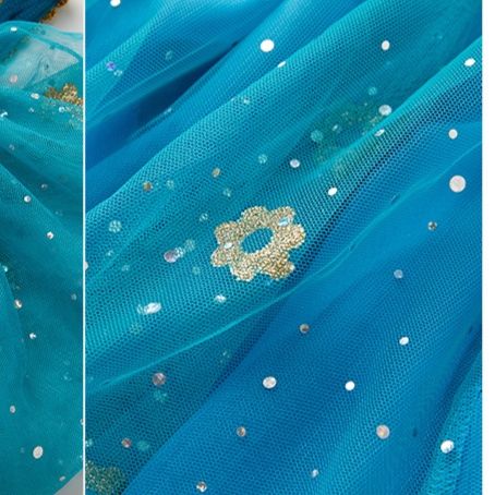 社交 ダンス ドレス エキゾチック刺繍豪華装飾ベリーダンス風セパレートドレス