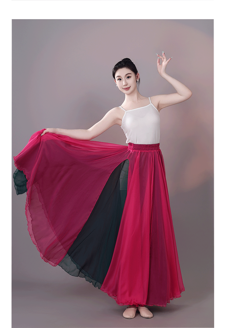 社交 ダンス ドレス 二重層シフォン大回転スカート練習用ドレス