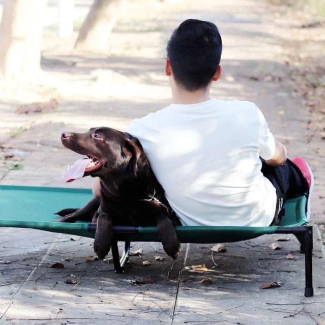 犬ベッド 夏快適ペット用軽量折りたたみベッド