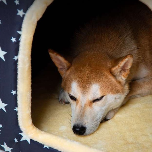 犬ベッド もこもこドーム型ペットハウス