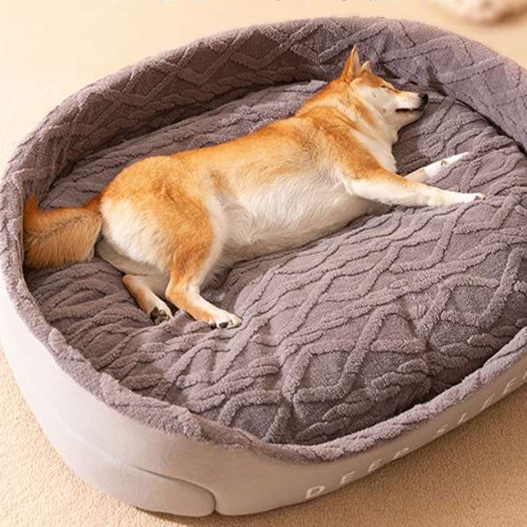 https://fulmo-img-server.com/dog-bed-lab/1727054904417_l09jht5q_cropped.jpg