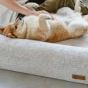 犬ベッド ふかふか快適ペットソファー