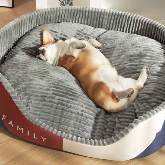 https://fulmo-img-server.com/dog-bed-lab/1727072177650_llhbfjxr_cropped.jpg