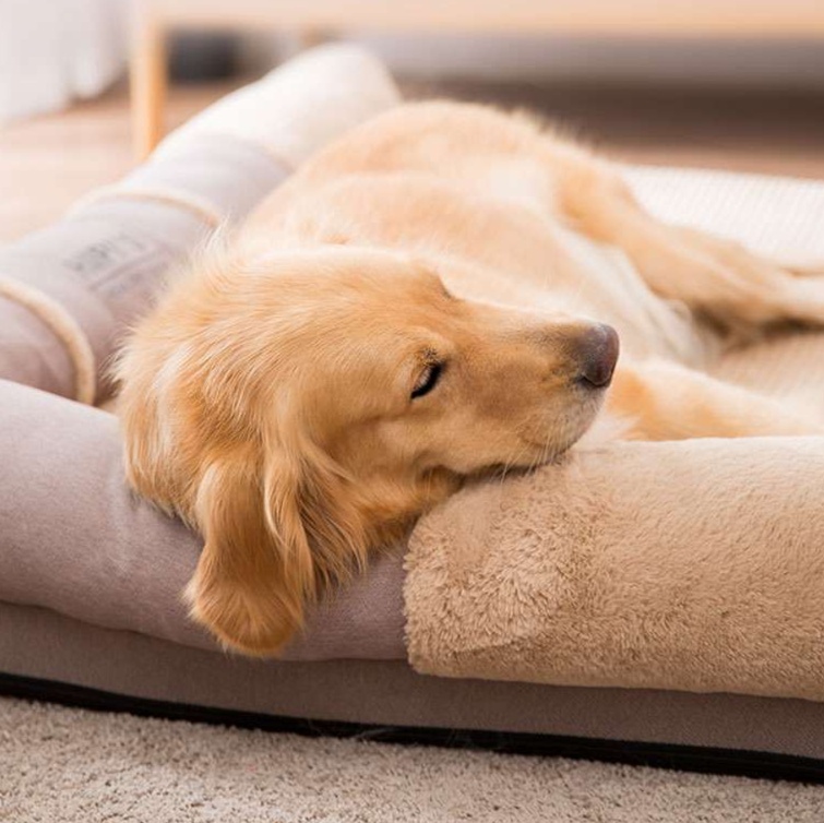 犬ベッド ふわもこラグジュアリー犬用ソファベッド