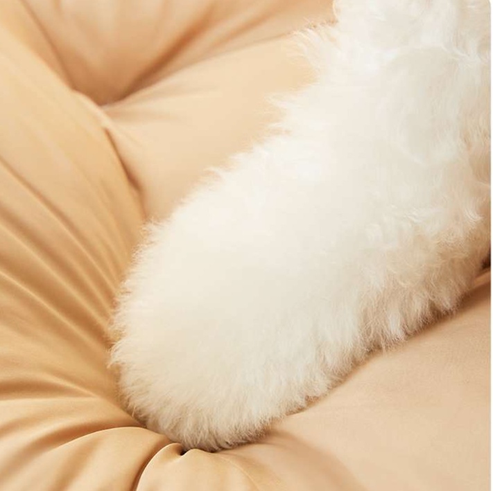 https://fulmo-img-server.com/dog-bed-lab/1727158181669_13vip28d_cropped.jpg