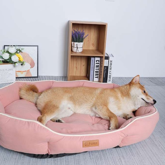 https://fulmo-img-server.com/dog-bed-lab/1727313938031_m9zlzbzu_cropped.jpg