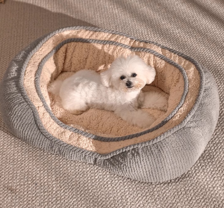 https://fulmo-img-server.com/dog-bed-lab/1738563760827_vf7rx0xh_ef033bsk.jpeg