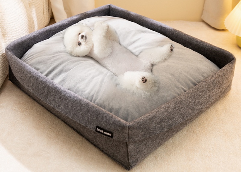 https://fulmo-img-server.com/dog-bed-lab/1738565333979_hj2viorp_sfijmtor.jpeg