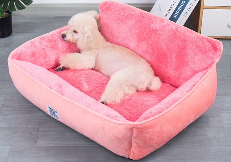 https://fulmo-img-server.com/dog-bed-lab/1738566588352_o8hce5au_4te1226d.jpeg