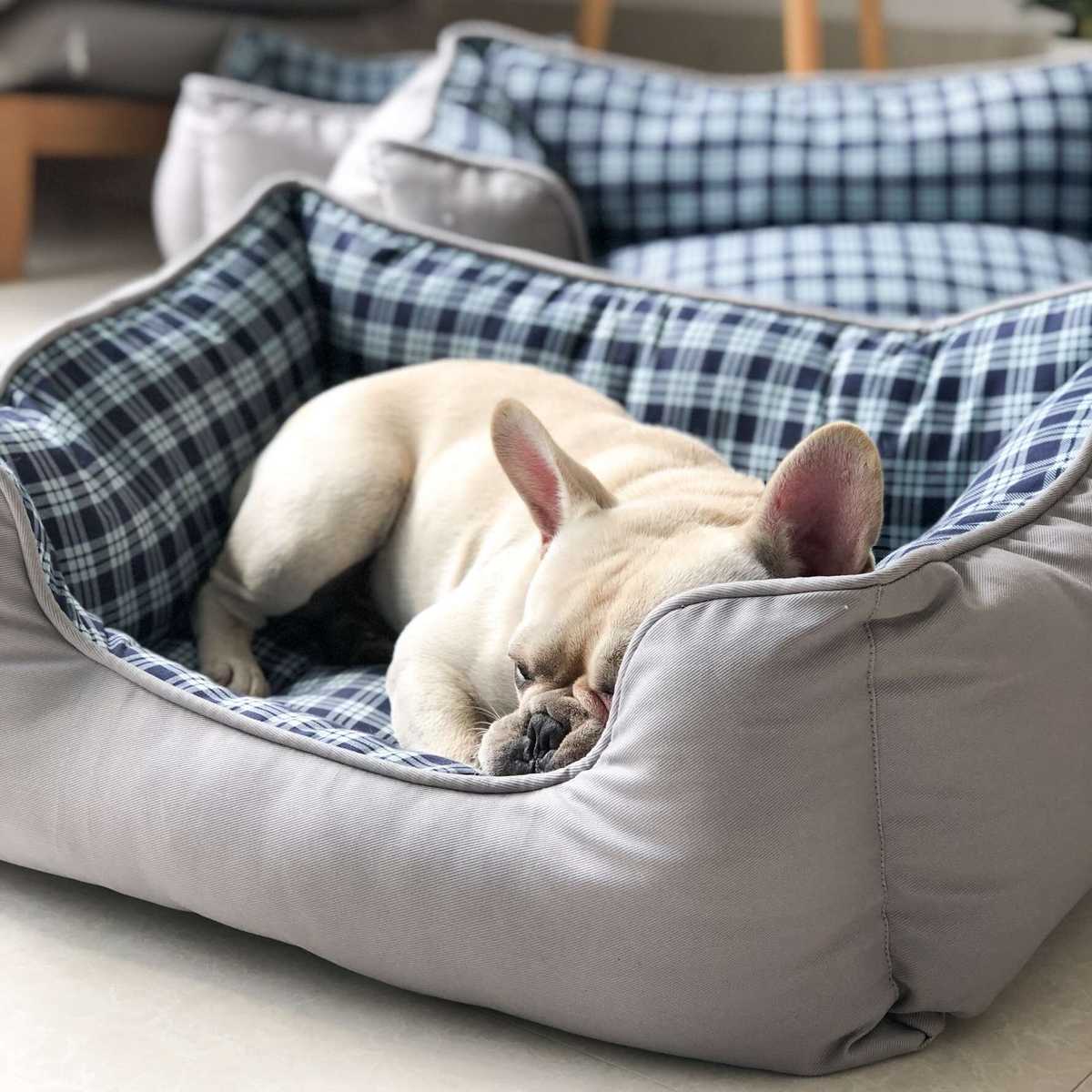 https://fulmo-img-server.com/dog-bed-lab/1756500260299_8gw8bozl_k15140gy.jpeg