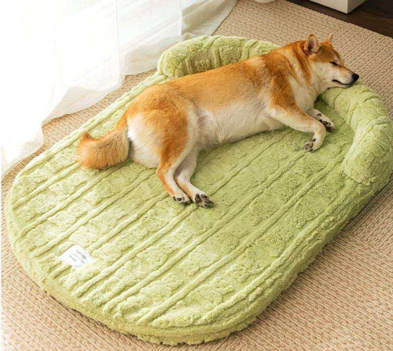 https://fulmo-img-server.com/dog-bed-lab/1756500267144_7vaqhpeb_lxg7hpj5.jpeg