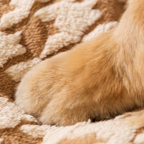 犬ベッド ドーム型大型犬対応ゆったり屋根付き安心ハウス