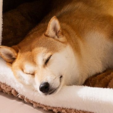 犬ベッド 小屋風ドーム型犬ベッド ふわふわ包み込み