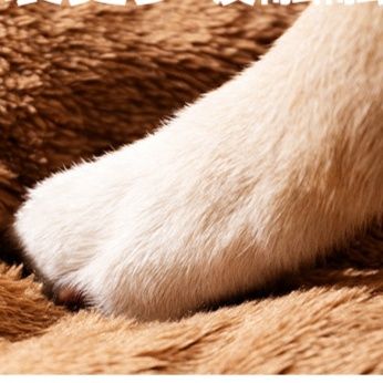 犬ベッド 小屋風ドーム型犬ベッド ふわふわ包み込み