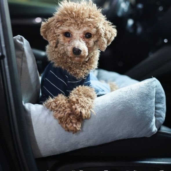 犬ベッド 愛犬との旅を快適にする車載用安心犬ベッド