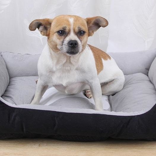 犬ベッド 骨型枕付き藤織り中敷き四角型犬ベッド