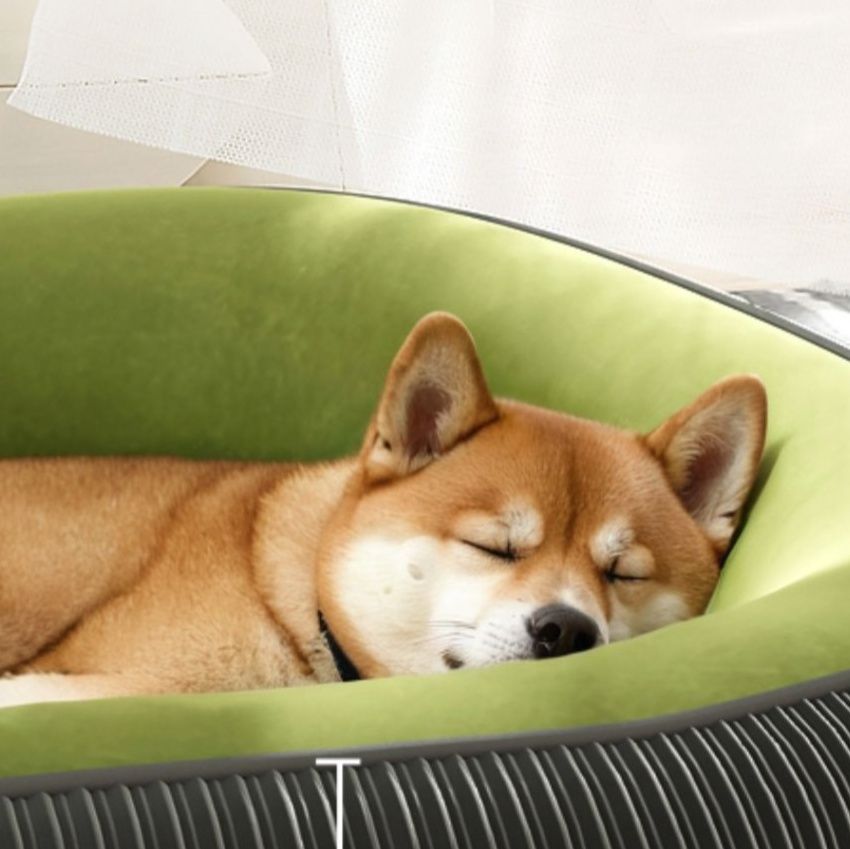 犬ベッド 厚手立体縫製ふちつき洗える犬用寝具クッション