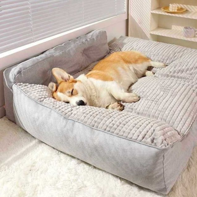 https://fulmo-img-server.com/dog-bed-lab/1764983756915_onoq889r_sgyn0to5.jpeg