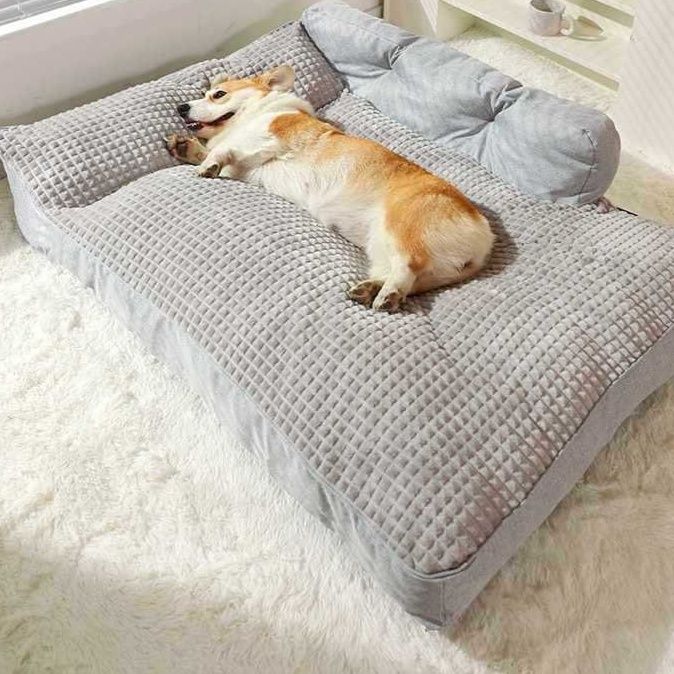 https://fulmo-img-server.com/dog-bed-lab/1764983780190_0l5nkngk_ab141drs.jpeg
