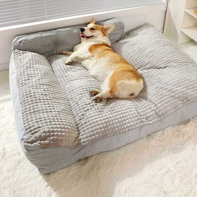 https://fulmo-img-server.com/dog-bed-lab/1764983788550_gv3w22ce_2azwzqlr.jpeg