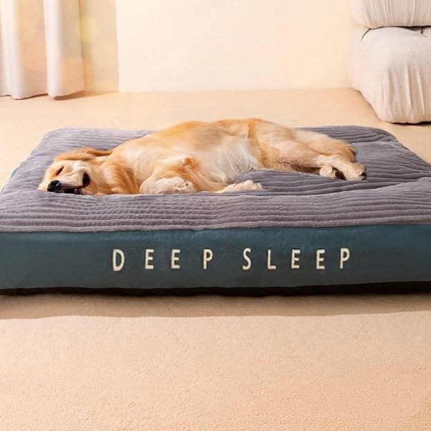 https://fulmo-img-server.com/dog-bed-lab/1764985127318_sclitghg_faa1vp3n.jpeg