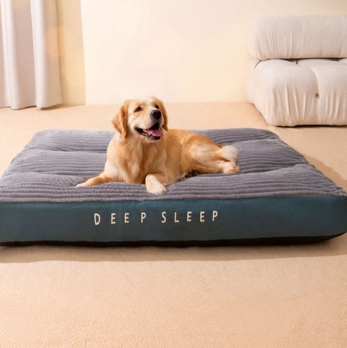 https://fulmo-img-server.com/dog-bed-lab/1764985147499_rfee8tcb_q9jc0pr2.jpeg
