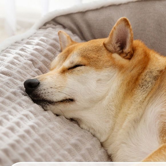 犬ベッド 四季対応加厚型枕付き犬用寝床クッション