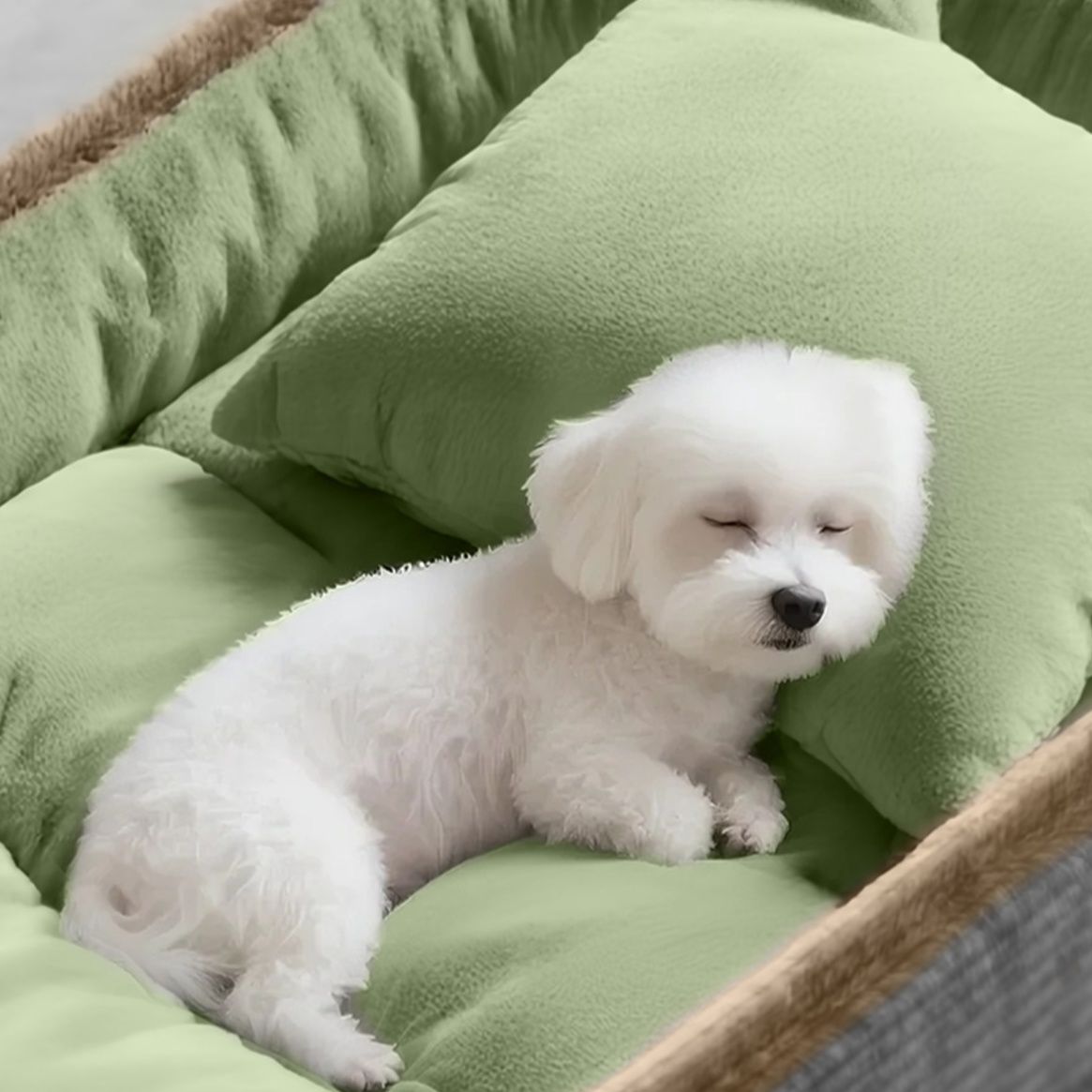 犬ベッド ふんわり包まれる高級ふちどり付きもちもち犬用クッション